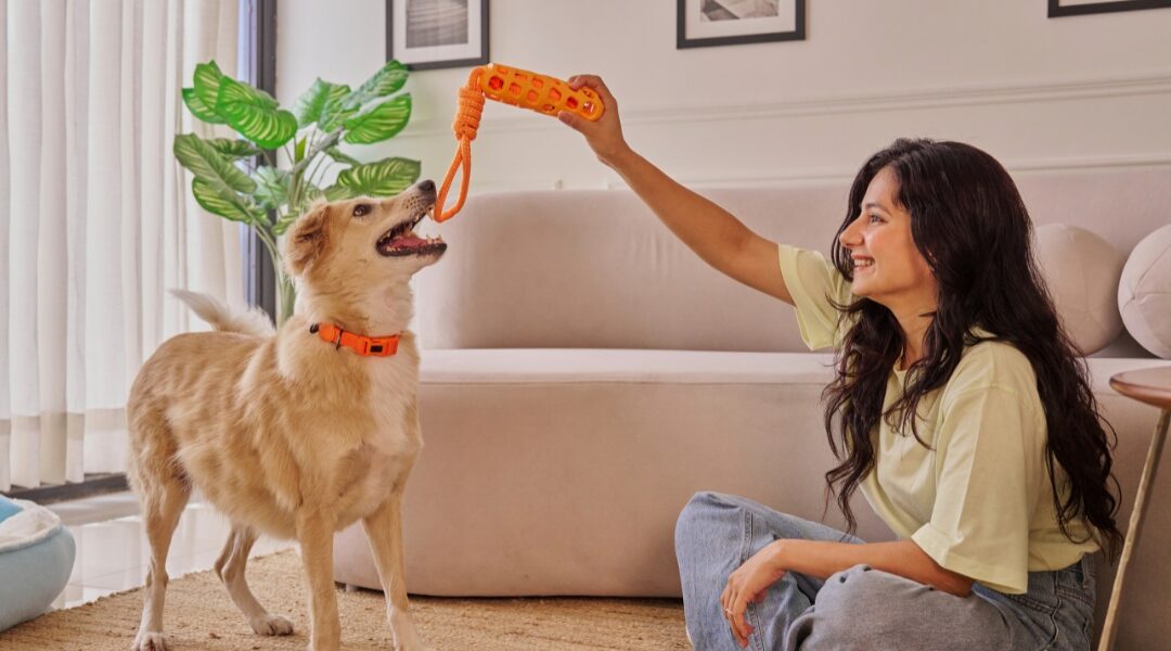 Kennels vs. Pet Sitters: Why In-Home Pet Sitting May Be the Better Choice