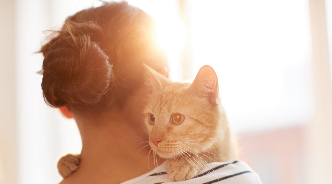 Ways Your Cat Is Showing They Love You