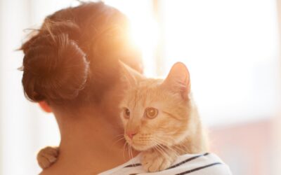 Ways Your Cat Is Showing They Love You